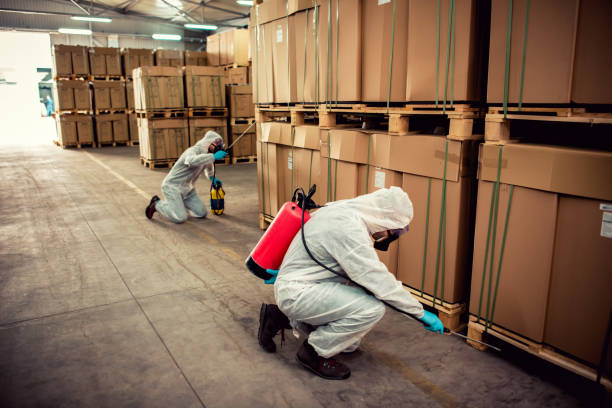 Best Pest Control Near Me in Goose Creek, SC