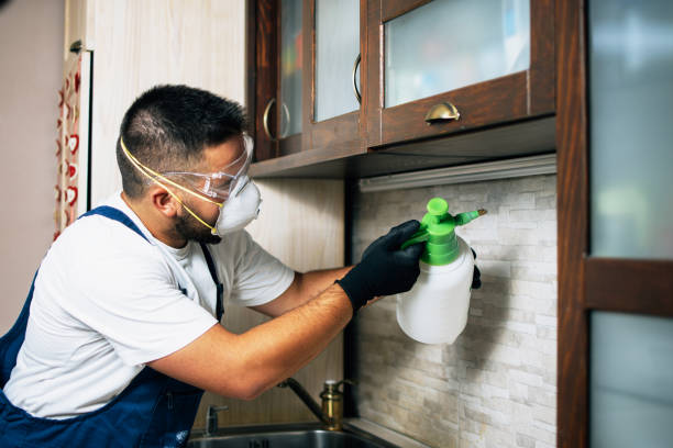 Best Bed Bug Extermination  in Goose Creek, SC