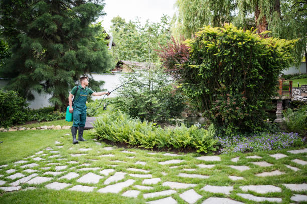 Best Wasp Removal Services  in Goose Creek, SC