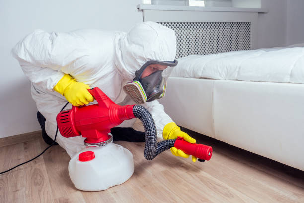 Flea Control Services in Goose Creek, SC