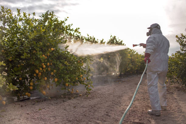  Goose Creek, SC Pest Control Pros