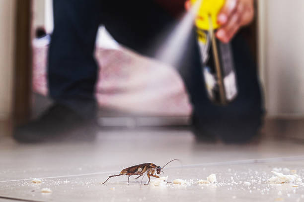 Best Pest Control Near Me  in Goose Creek, SC