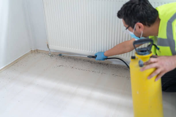 Best Wasp Removal Services  in Goose Creek, SC